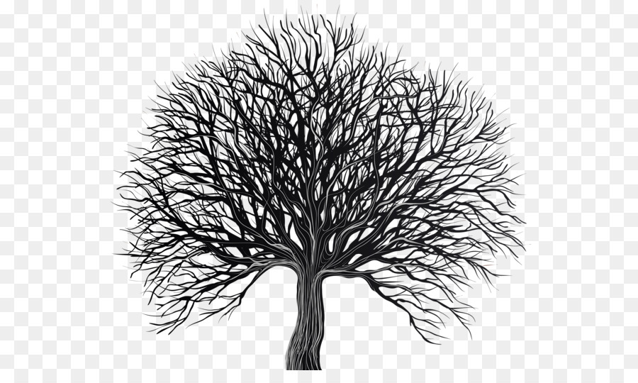 Silueta De Arbol，árbol PNG