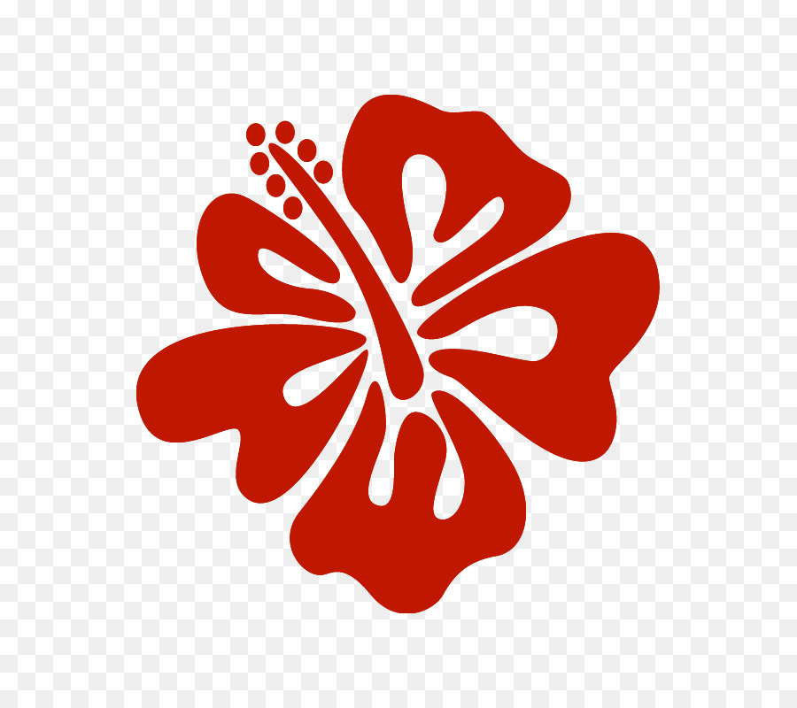 Hibisco，Rojo PNG