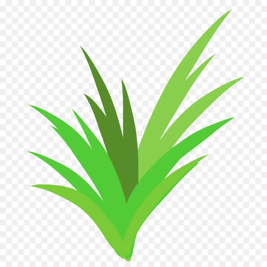 Planta Verde，Hojas PNG