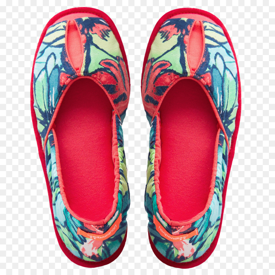 Zapatilla，Chanclas PNG