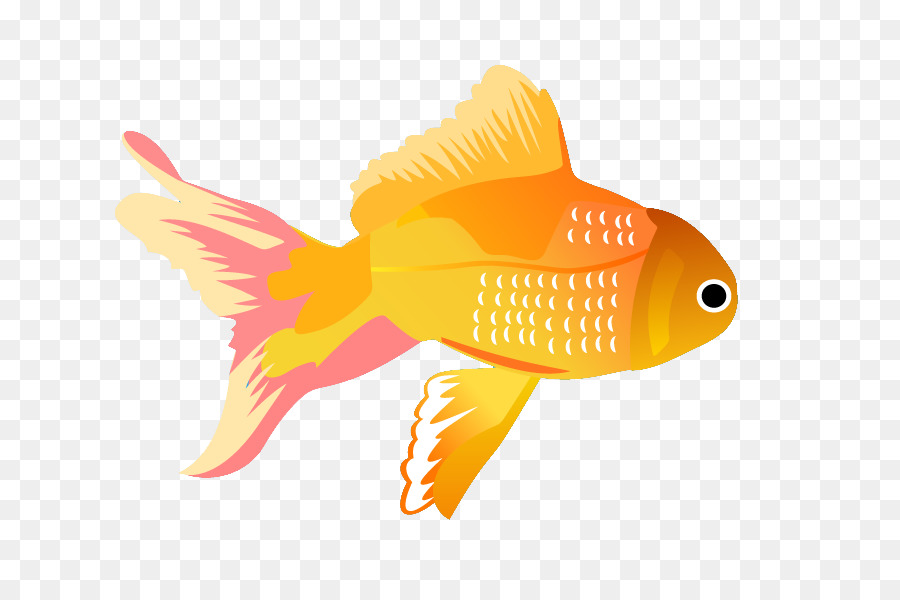 Los Peces，Los Peces De Aleta PNG