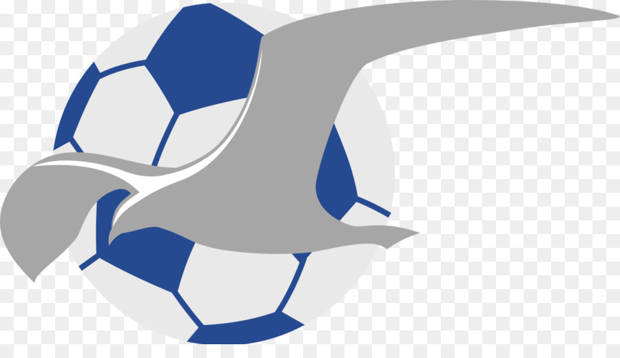 2017 Primera División，Fk Haugesund PNG