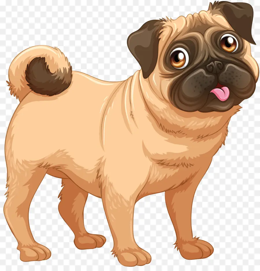 Pug，Dobermann PNG