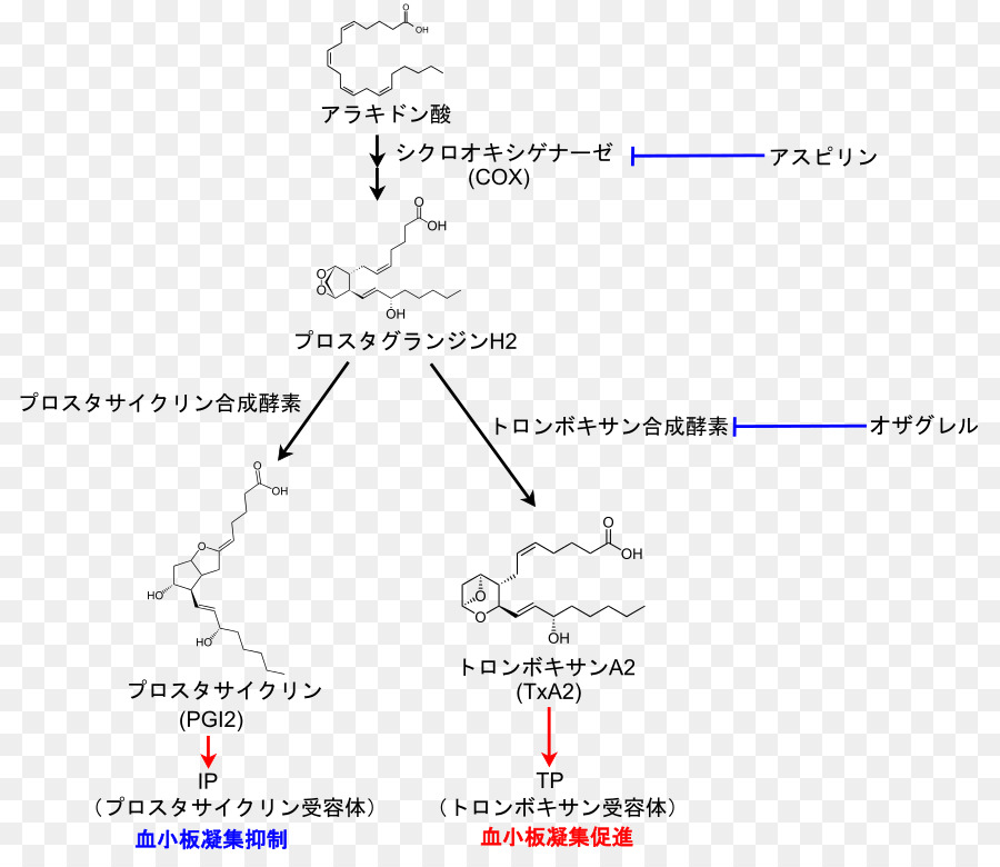 ácido Graso Esencial De Las Interacciones，Suplemento Dietético PNG