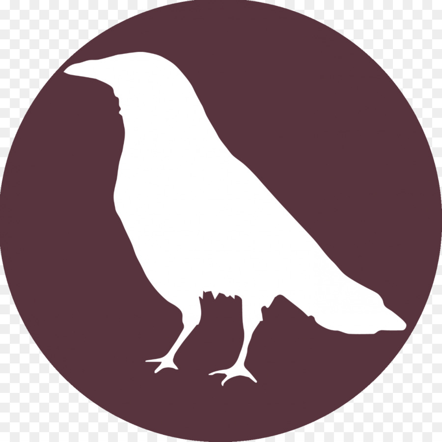 Pico，Aves PNG