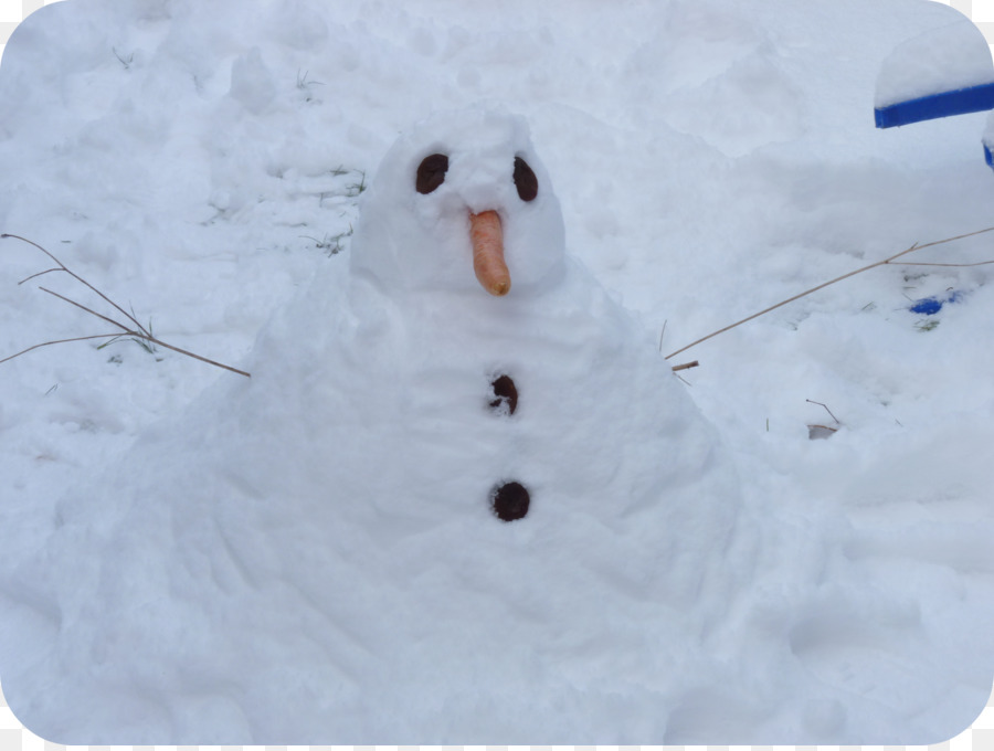 La Nieve，Muñeco De Nieve PNG