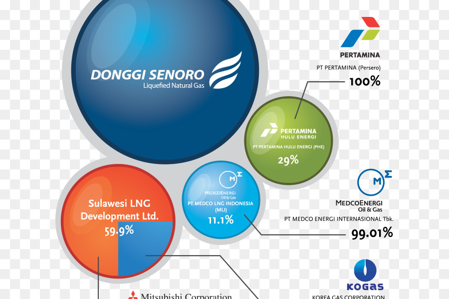 Pt Donggisenoro De Gnl，Organización PNG