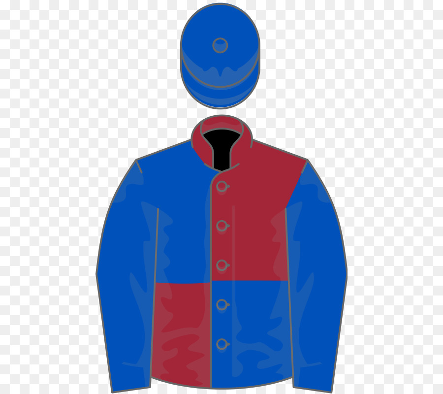 Irlandés Grand National，1993 Gran Nacional PNG