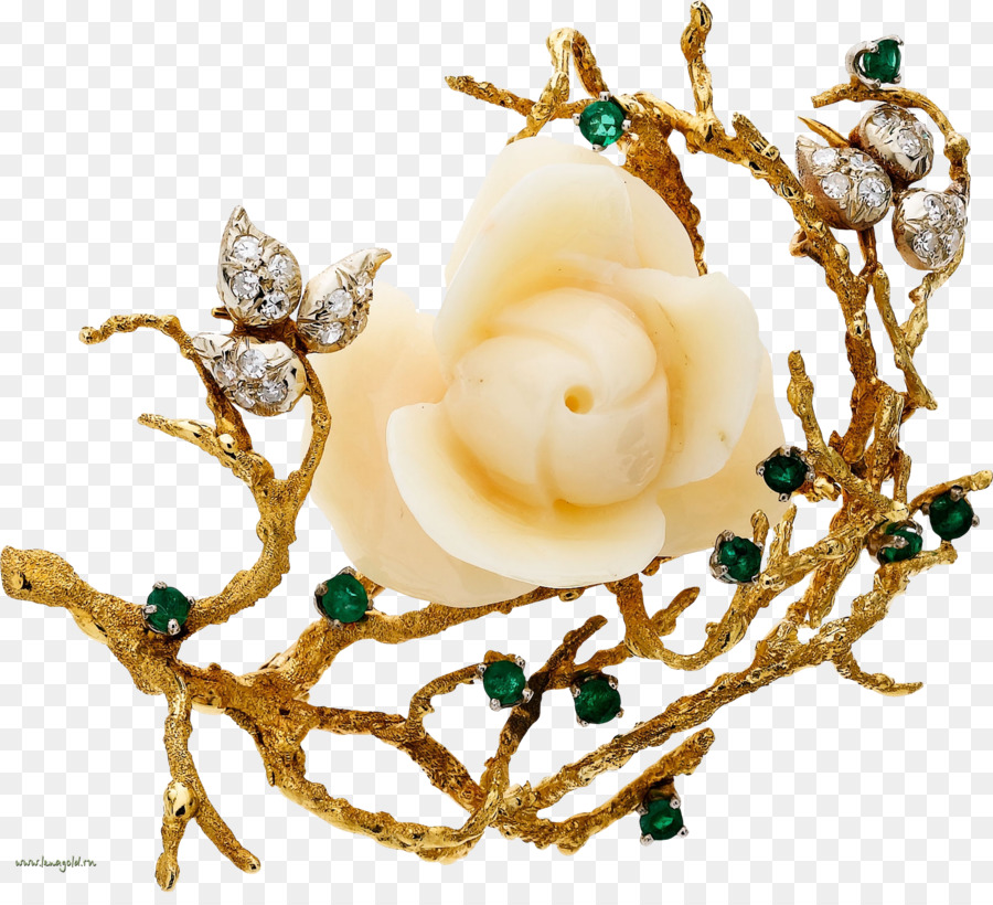 Flor，Curioso PNG