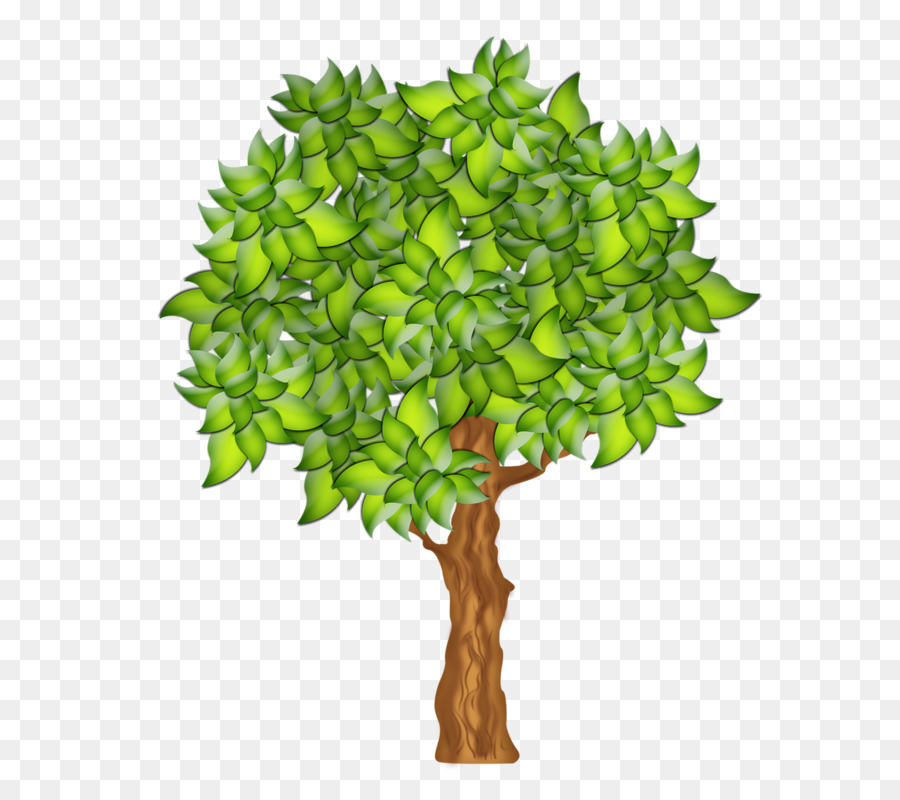 árbol De La Fruta，La Fruta PNG