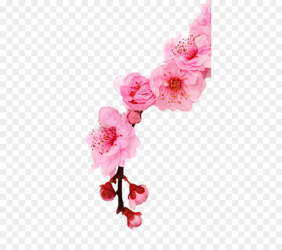 De Los Cerezos En Flor，Flor PNG