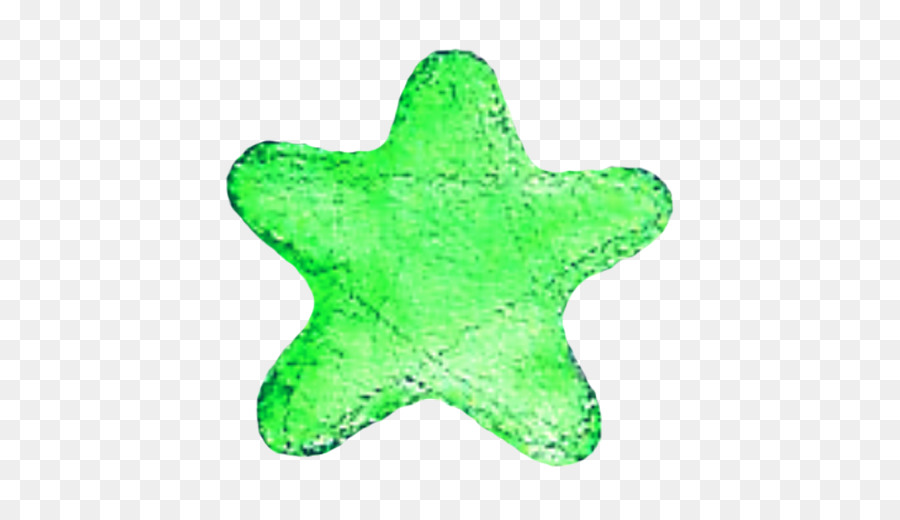 Estrella De Mar，Iconos De Equipo PNG