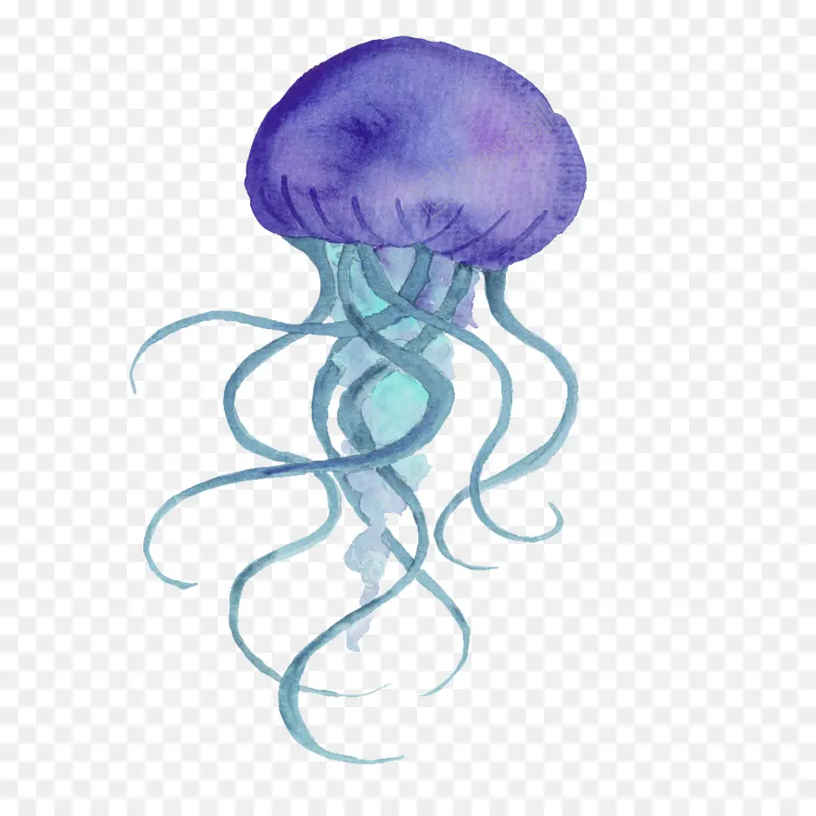 Medusa Azul，Océano PNG