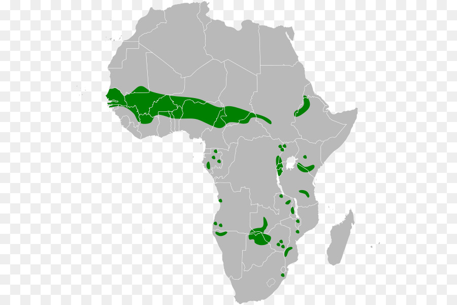 áfrica，La Unión Africana PNG