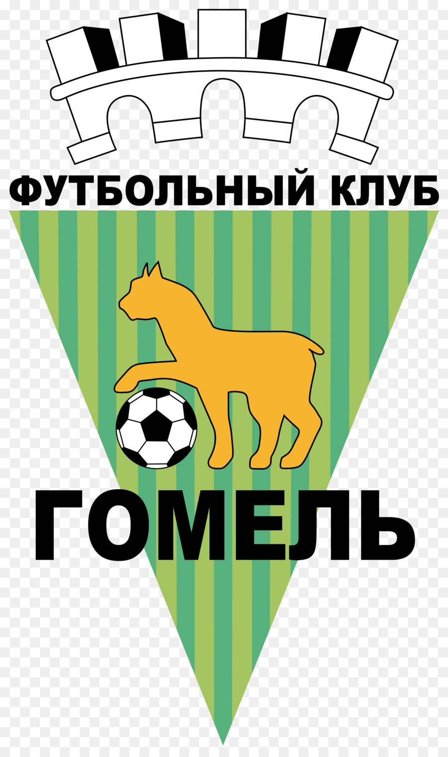 Bielorruso De La Premier League，Fc Gomel PNG