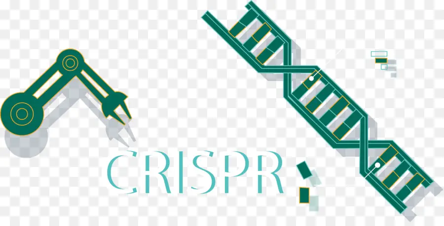 Crispr，Edición De Genes PNG