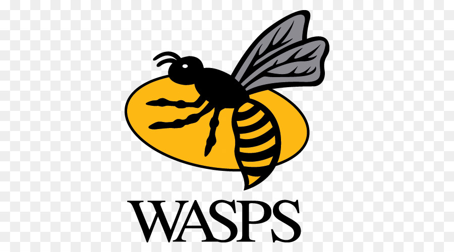 Las Avispas Rfc，Guerreros De Worcester PNG