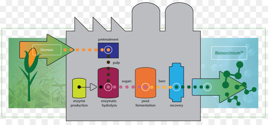 La Tecnología，Biorrefinería PNG