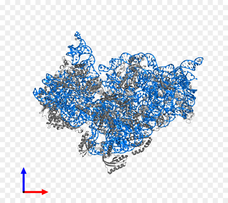 Línea，El Cuerpo De La Joyería PNG