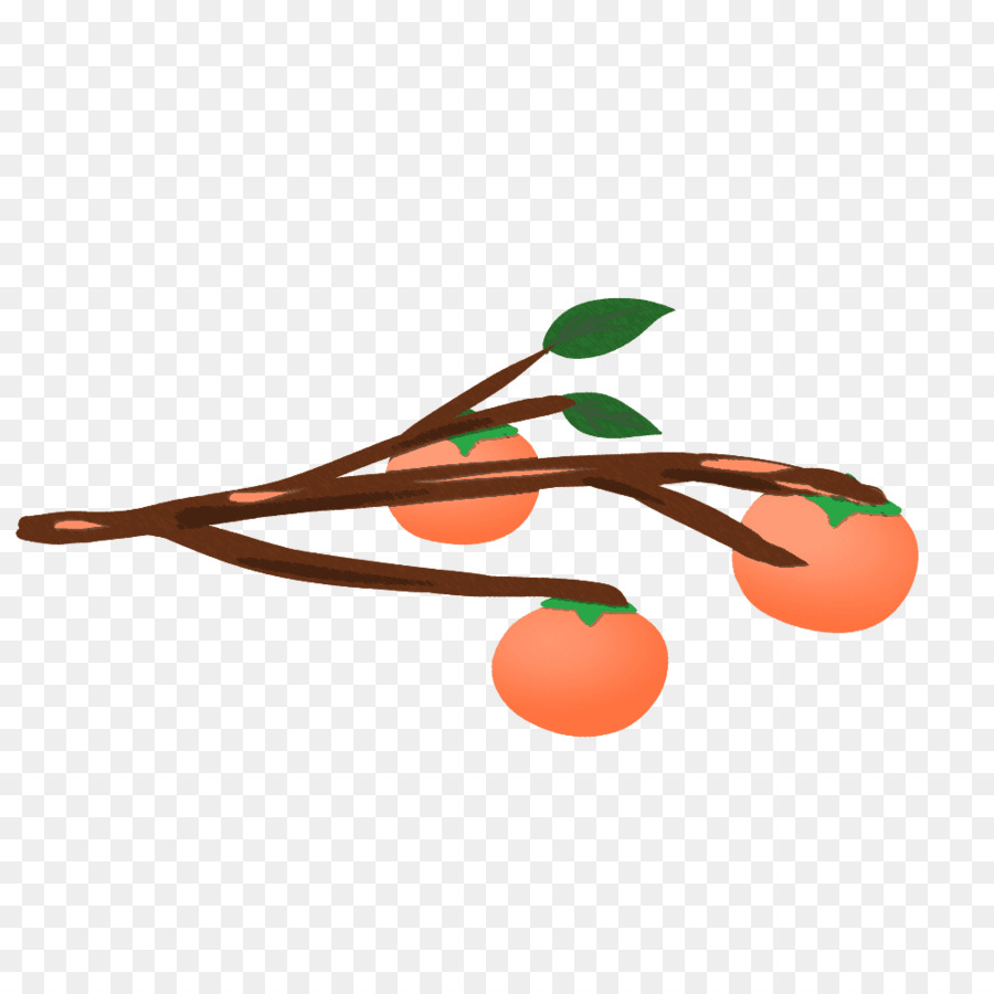 Japonés Caqui，La Fruta PNG