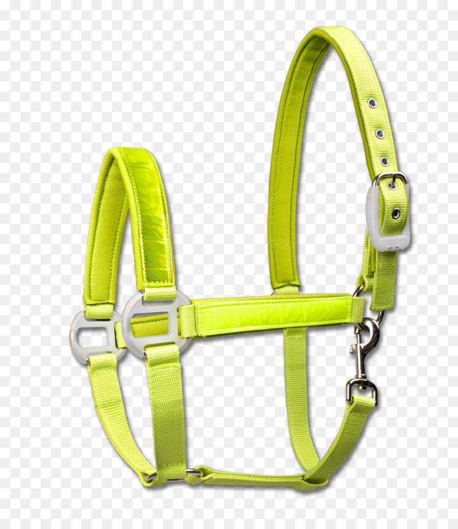 Caballo，Soporte PNG