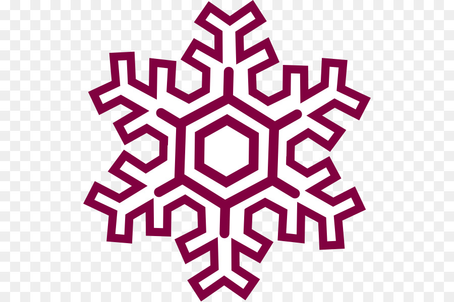 Copo De Nieve，Iconos De Equipo PNG