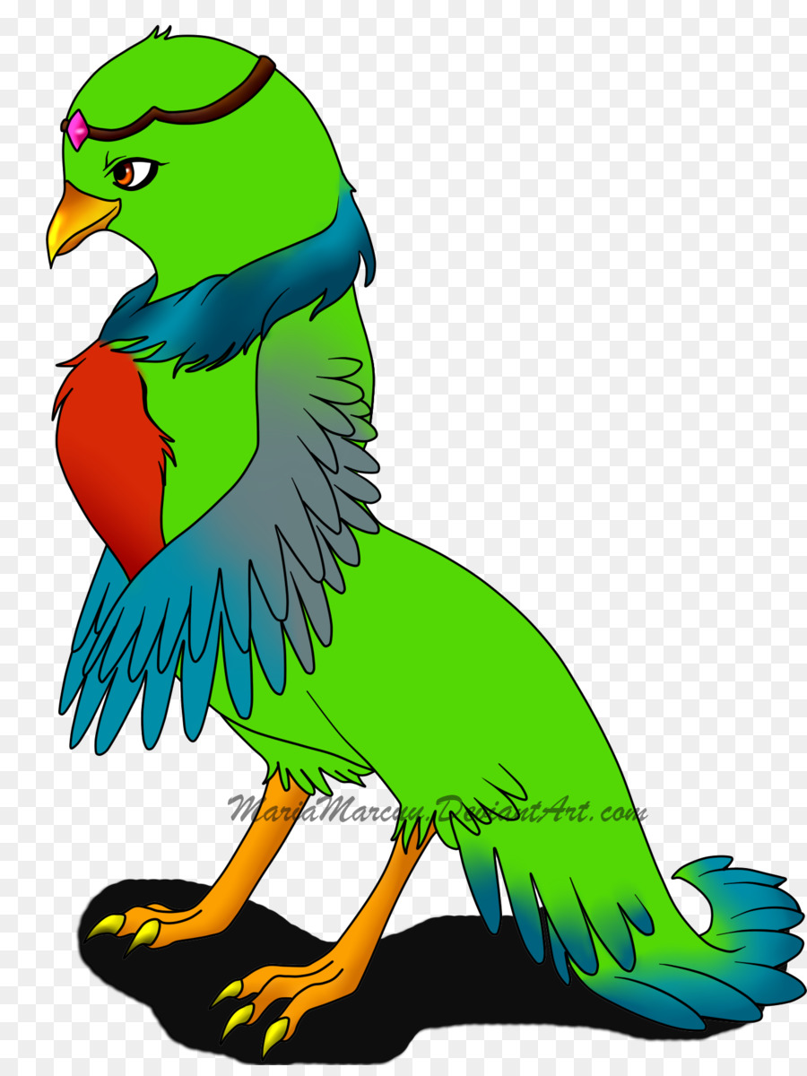 Guacamayo，Parakeet PNG