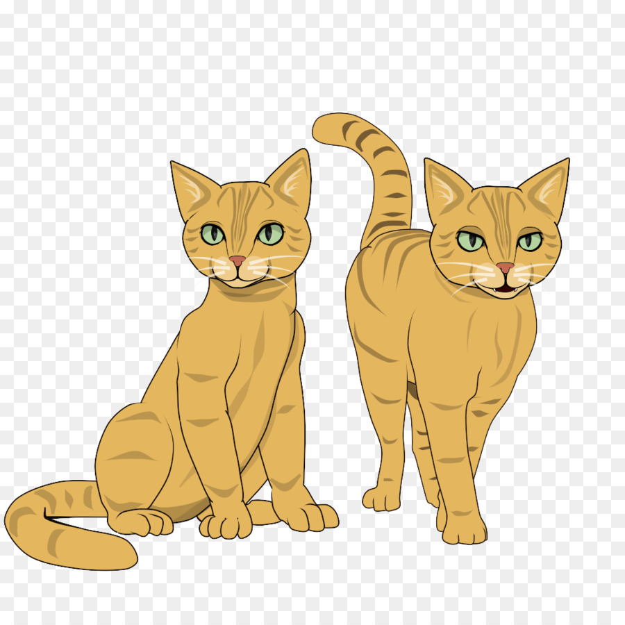 Dos Gatos，Felino PNG