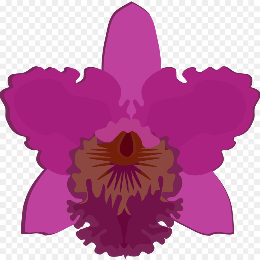 Flor Morada，Pétalos PNG