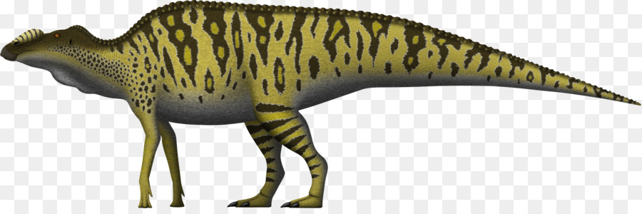 Edmontosarurus，Maiasaura PNG