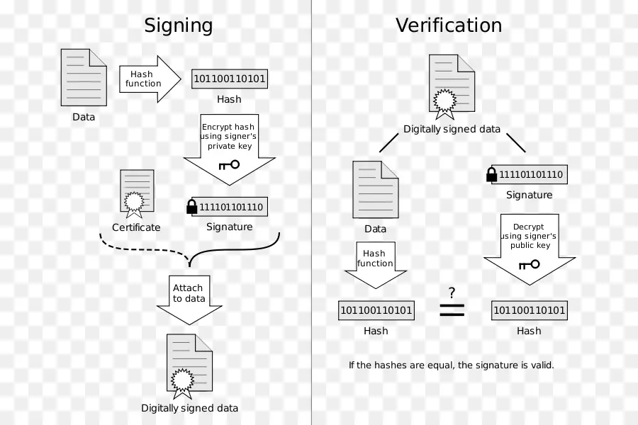 Firma Digital，Certificado De Clave Pública PNG