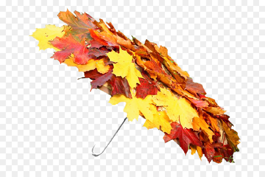 Otoño，Verano PNG