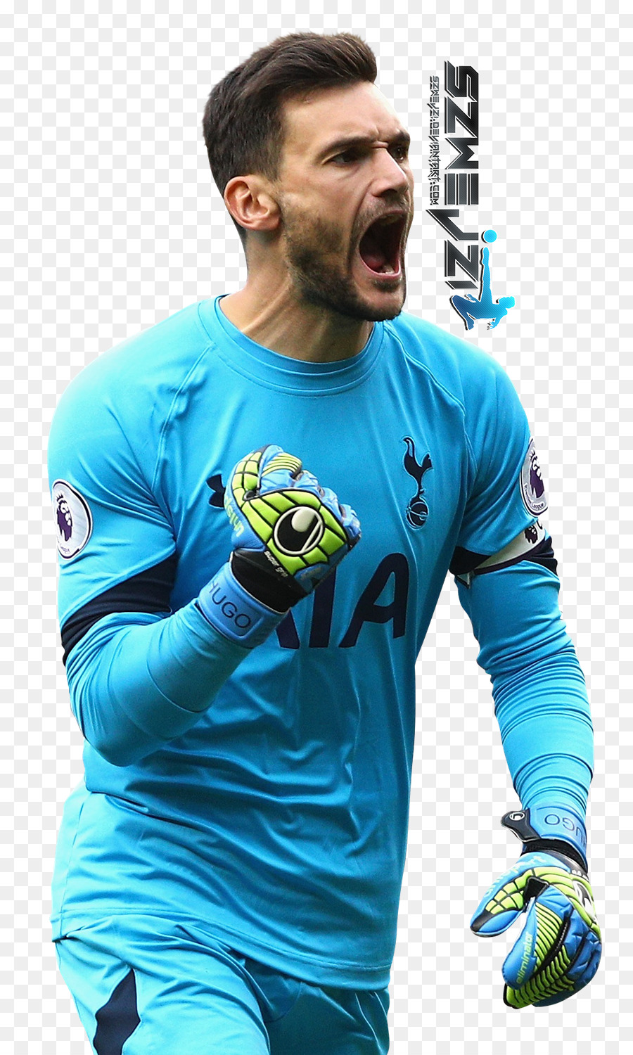 Hugo Lloris，El Tottenham Hotspur Fc PNG