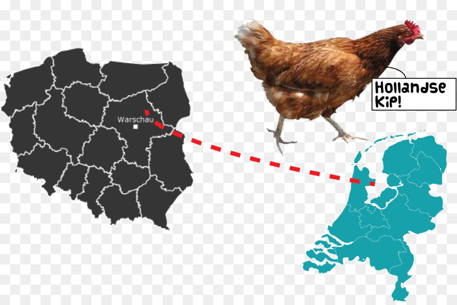 Mapa De Pollo，Polonia PNG