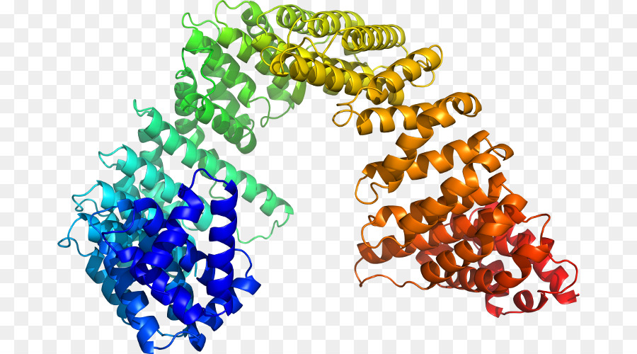 Estructura Colorida，Molécula PNG