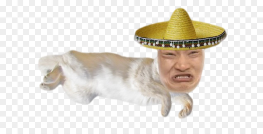 Sombrero，Sombrero De Vaquero PNG