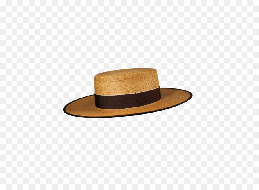 Sombrero，Sombrero Ala Ancha Gris PNG