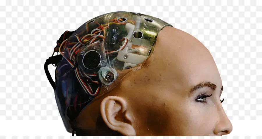 Sophia，Robot PNG