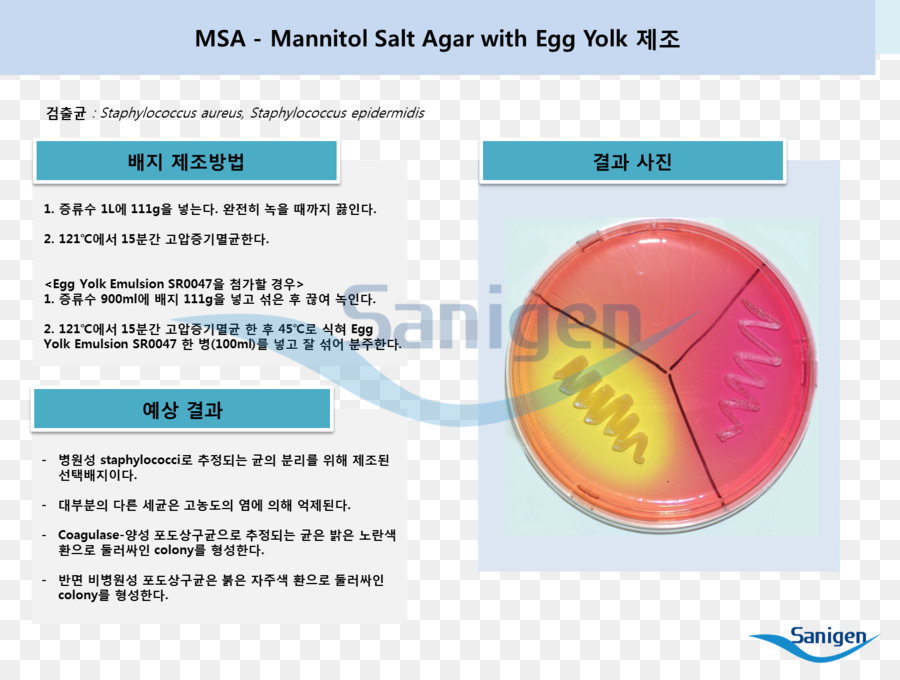 Mannitol Salt Agar，Agar Nutritivo PNG