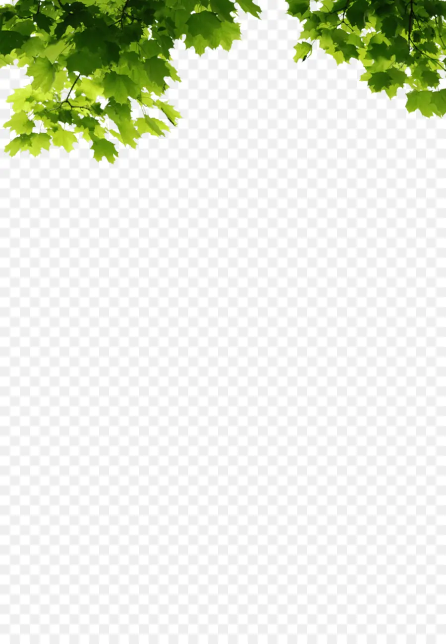 Hoja，Árbol PNG