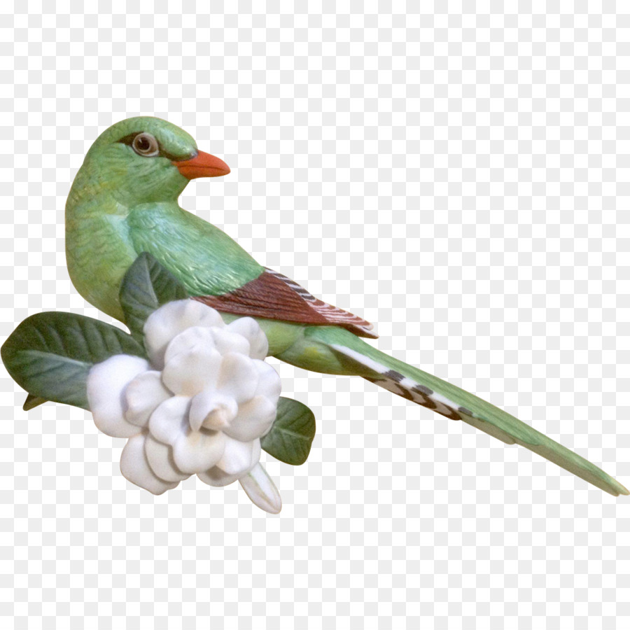 Figurilla，Aves PNG