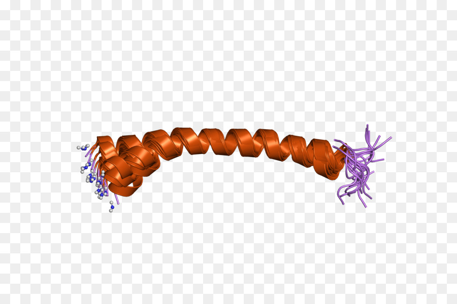 Hipófisis La Adenilato Cyclaseactivating Péptido，Hipófisis La Adenilato Cyclaseactivating Polipéptido PNG