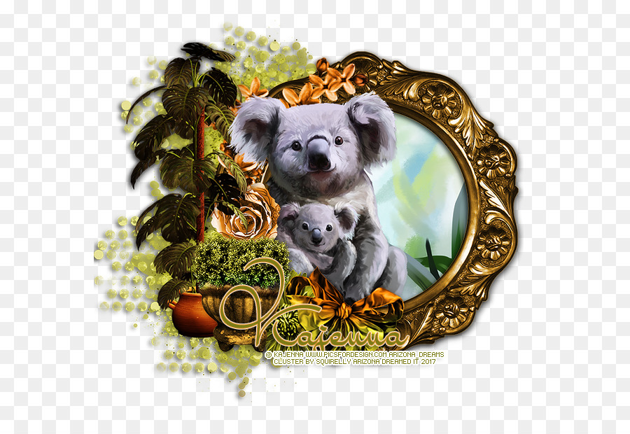 Koala，Oso PNG