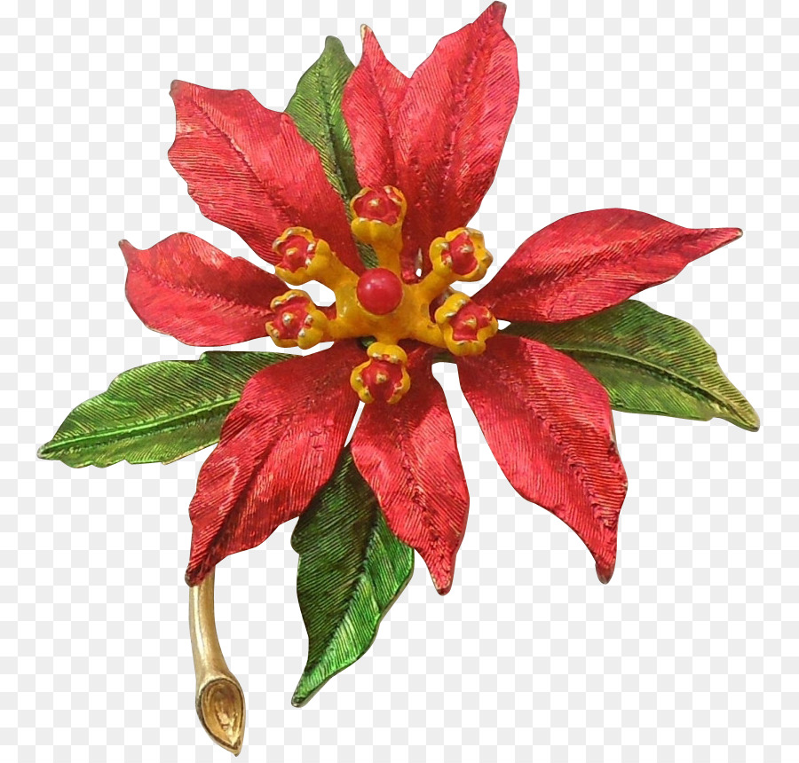 La Flor De Pascua，Christmas Day PNG