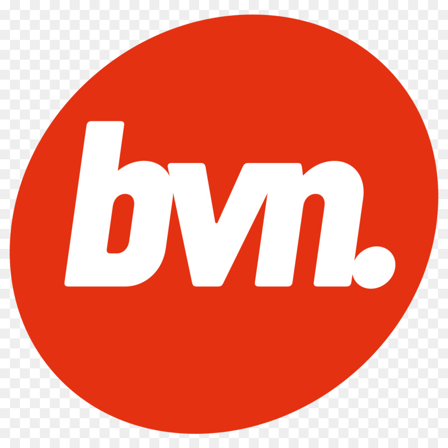 Bvn，La Televisión PNG