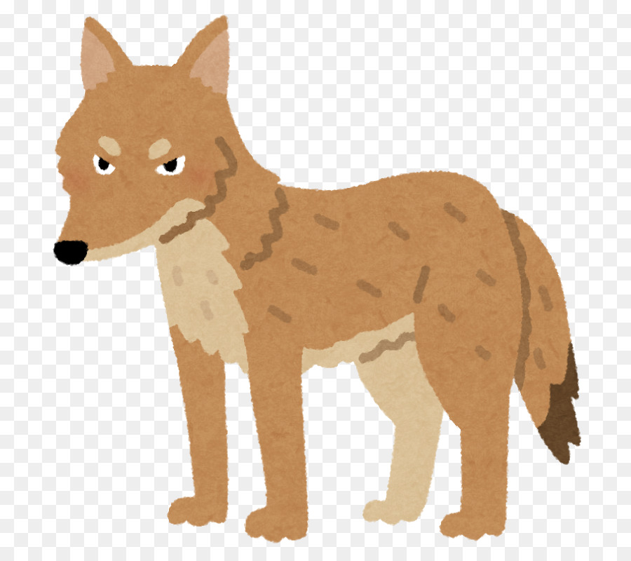 Coyote，Perro PNG