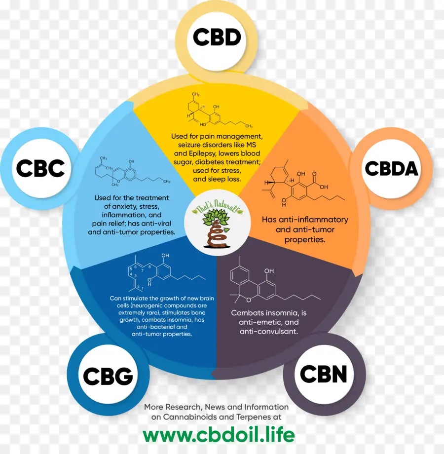 El Cannabidiol，Cannabinoides PNG