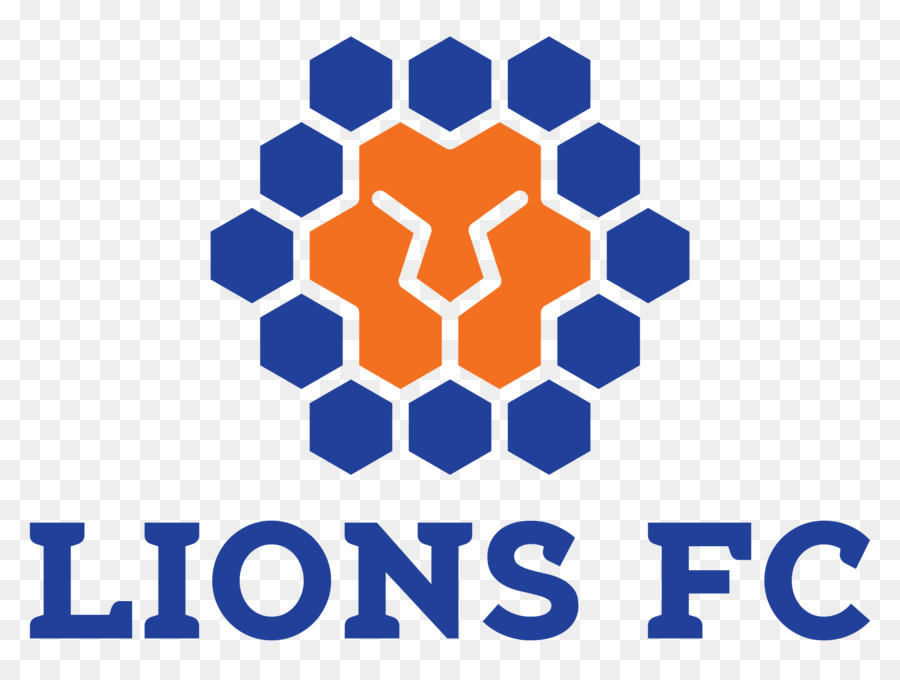 Queensland Lions Fc，Taza De 2018 Ffa PNG