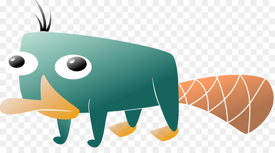 Perry El Ornitorrinco，Ornitorrinco PNG