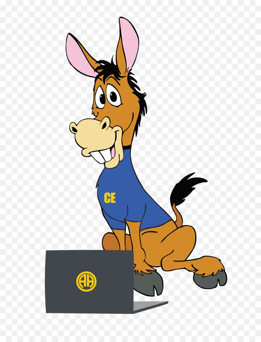 Burro，Una Fotografía De Stock PNG